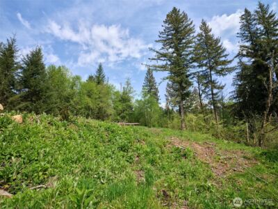 140 Skinner Road , Woodland, WA 98674 - Photo 14