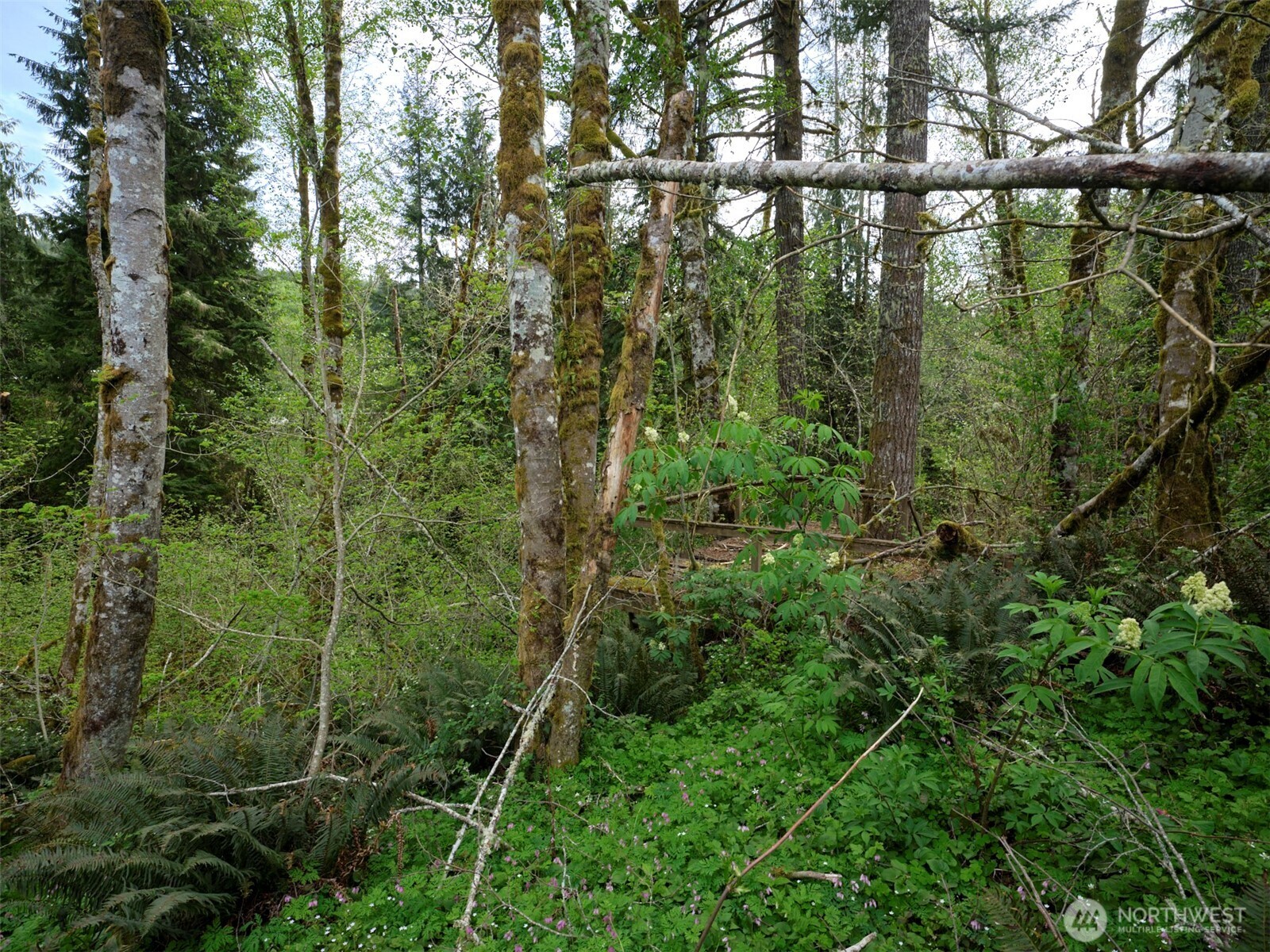 140 Skinner Road , Woodland, WA 98674