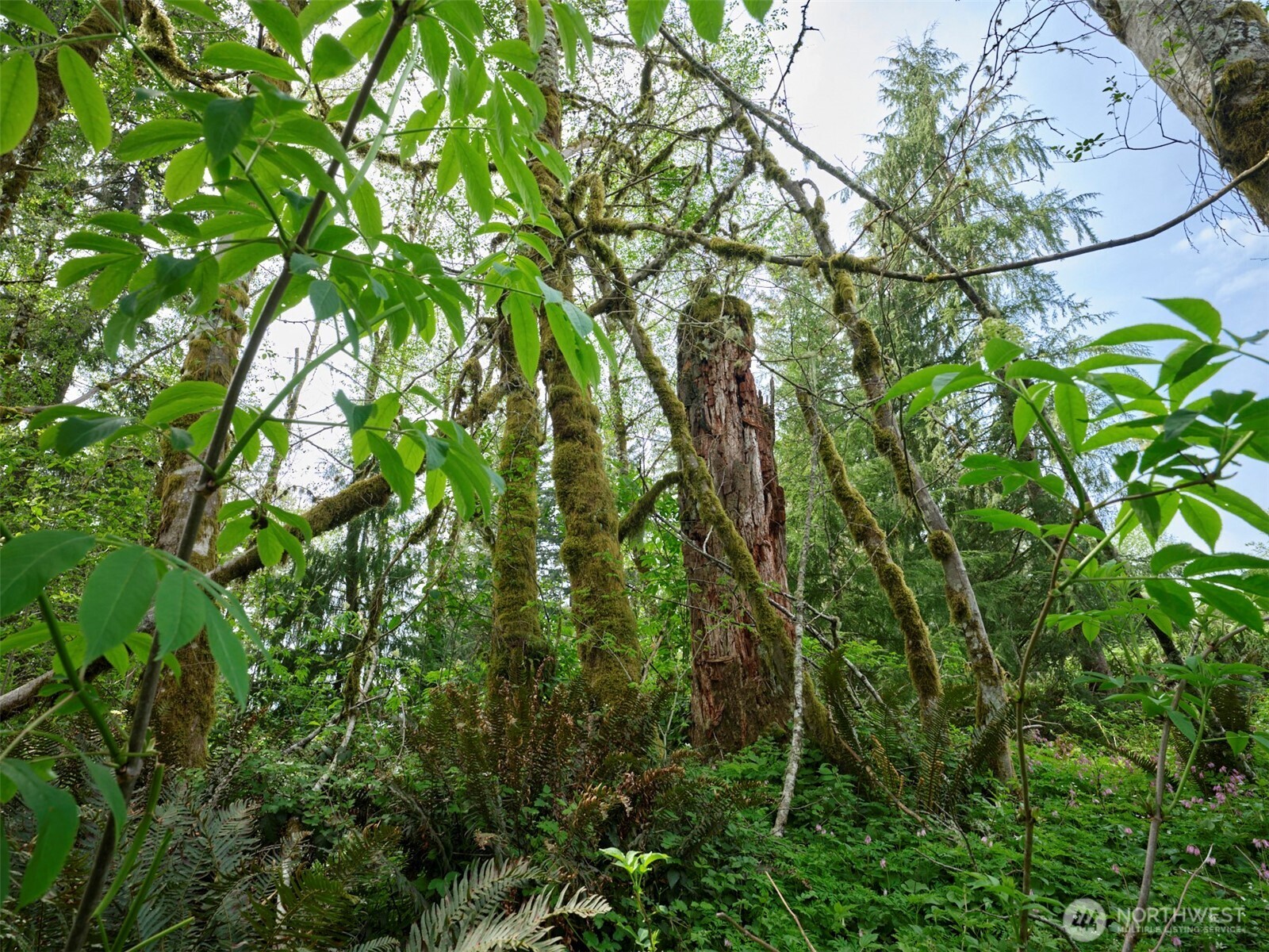 140 Skinner Road , Woodland, WA 98674