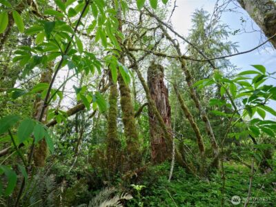 140 Skinner Road , Woodland, WA 98674 - Photo 17