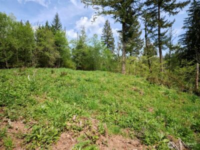 140 Skinner Road , Woodland, WA 98674 - Photo 19