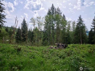 140 Skinner Road , Woodland, WA 98674 - Photo 20