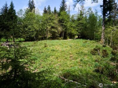 140 Skinner Road , Woodland, WA 98674 - Photo 3