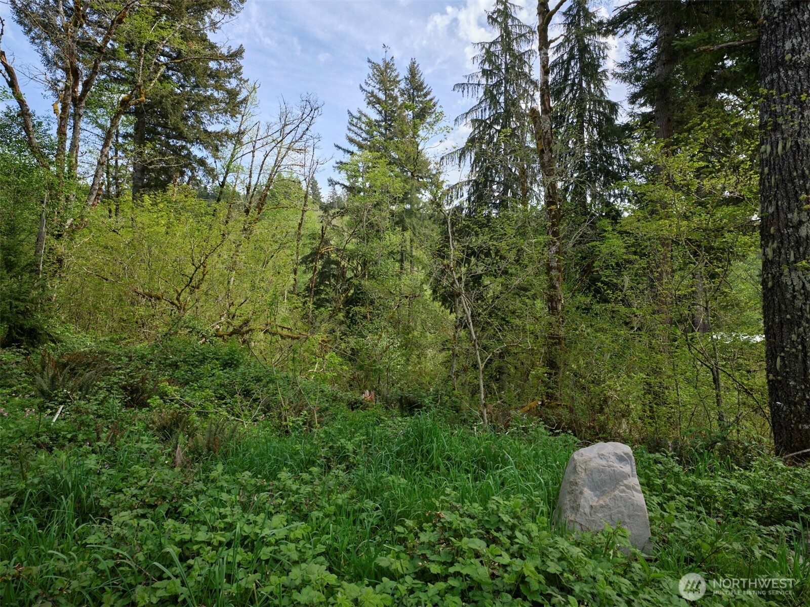 140 Skinner Road , Woodland, WA 98674