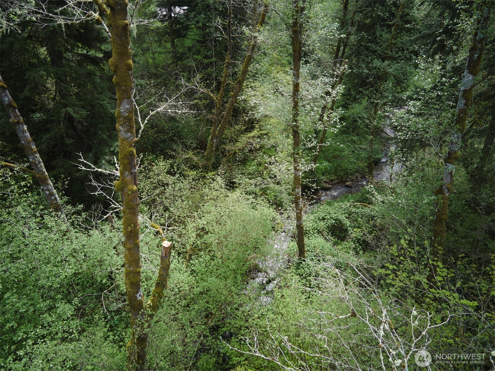 140 Skinner Road , Woodland, WA 98674