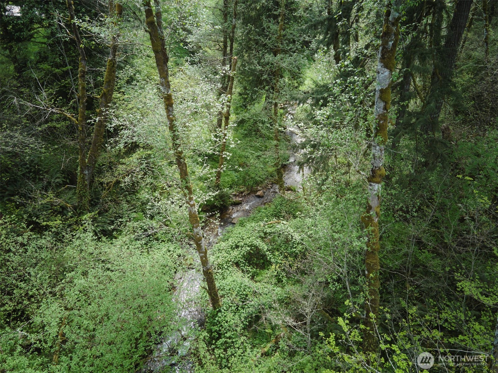140 Skinner Road , Woodland, WA 98674