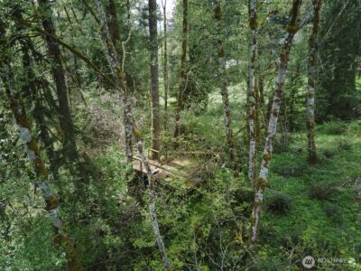 140 Skinner Road , Woodland, WA 98674 - Photo 24