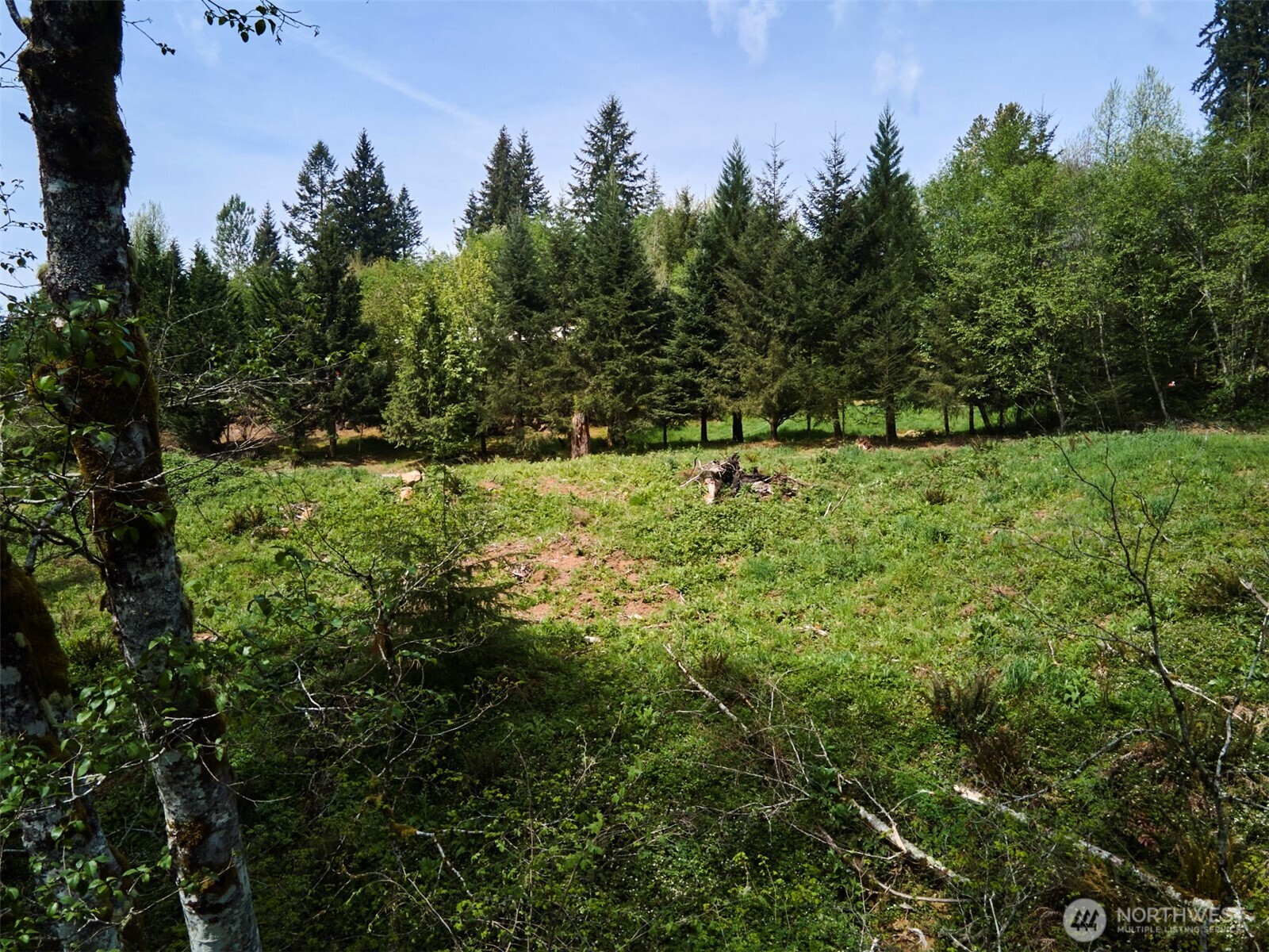 140 Skinner Road , Woodland, WA 98674
