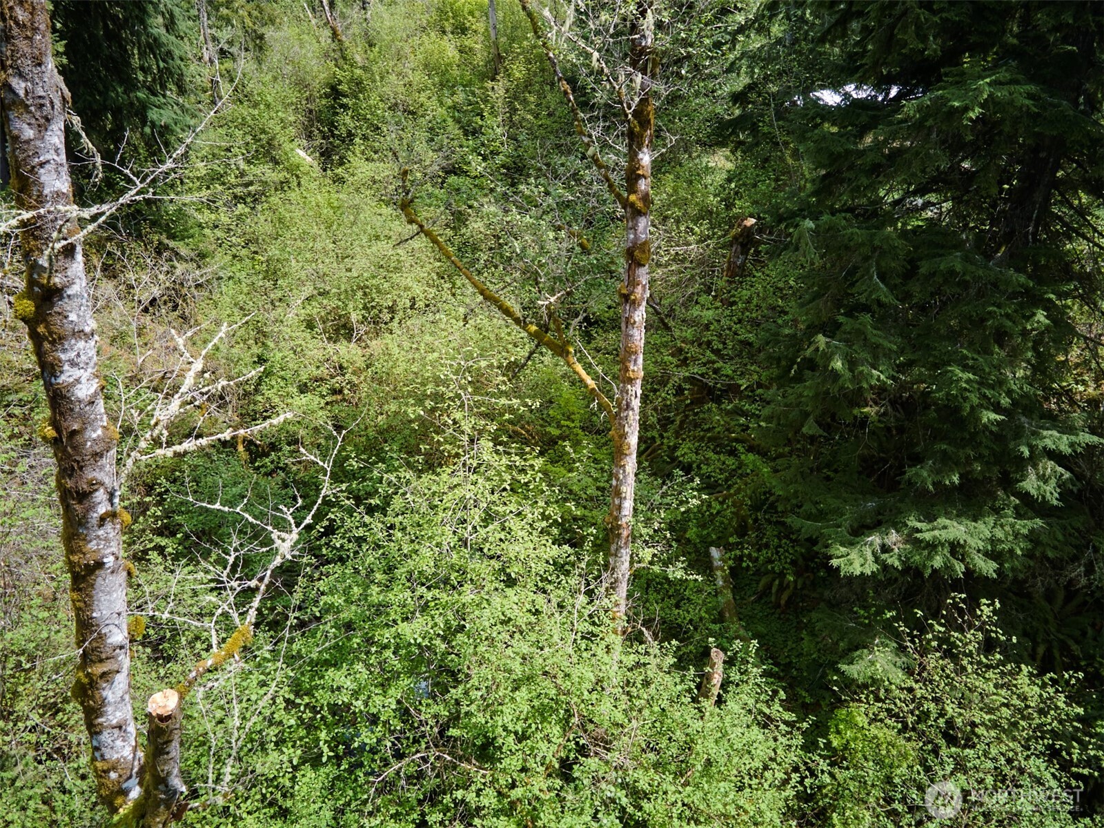140 Skinner Road , Woodland, WA 98674