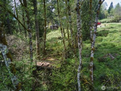 140 Skinner Road , Woodland, WA 98674 - Photo 29