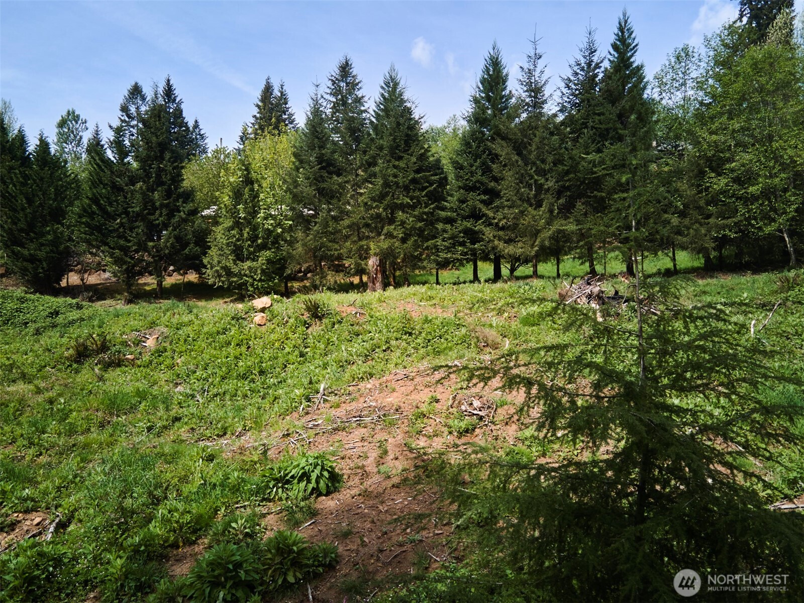 140 Skinner Road , Woodland, WA 98674