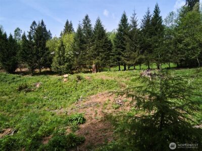 140 Skinner Road , Woodland, WA 98674 - Photo 30