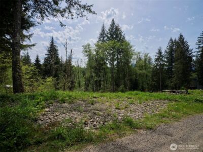 140 Skinner Road , Woodland, WA 98674 - Photo 8