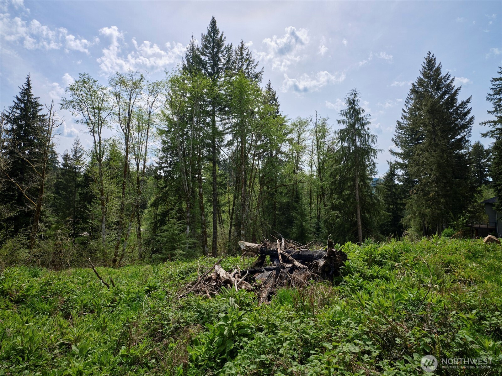 140 Skinner Road , Woodland, WA 98674