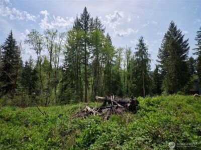 140 Skinner Road , Woodland, WA 98674 - Photo 9