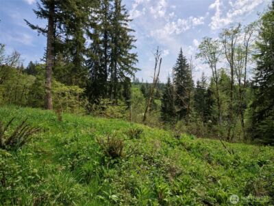 140 Skinner Road , Woodland, WA 98674 - Photo 10