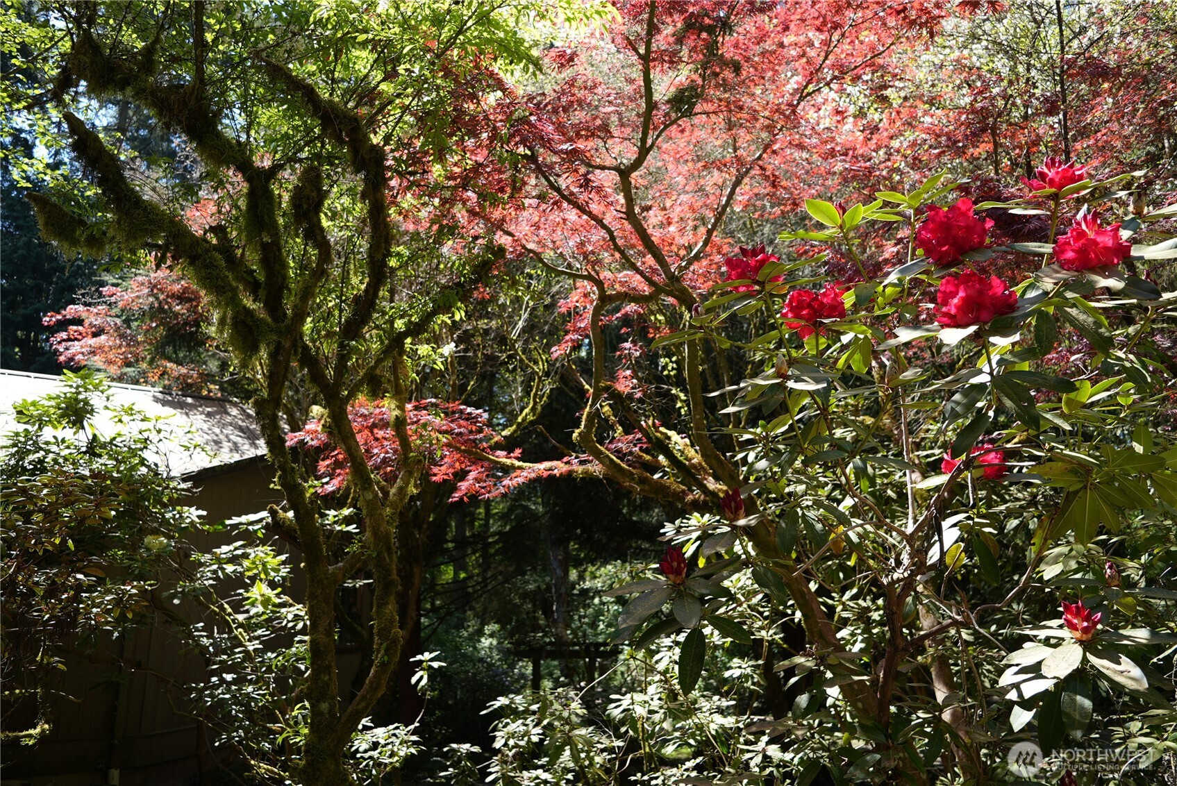 4050 Tree Frog Lane , Langley, WA 98260
