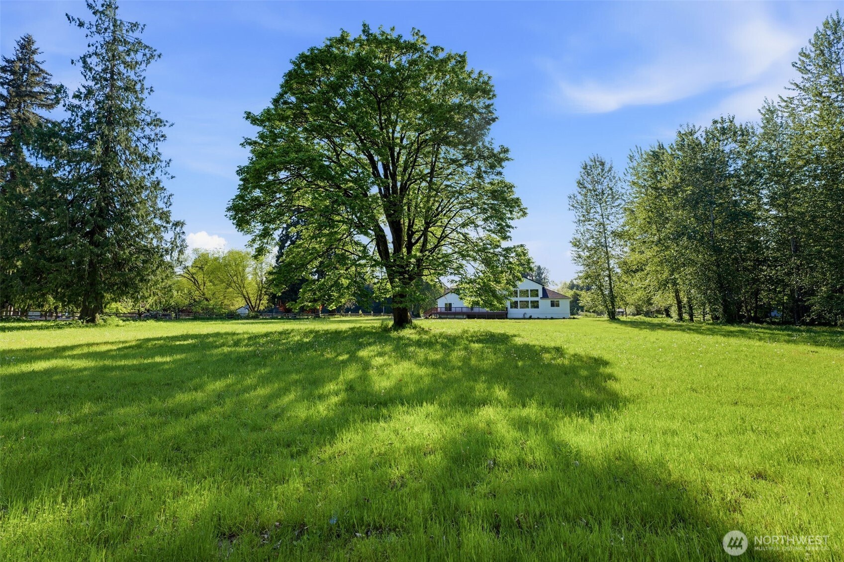 230 Conine Street SE, Olympia, WA 98513