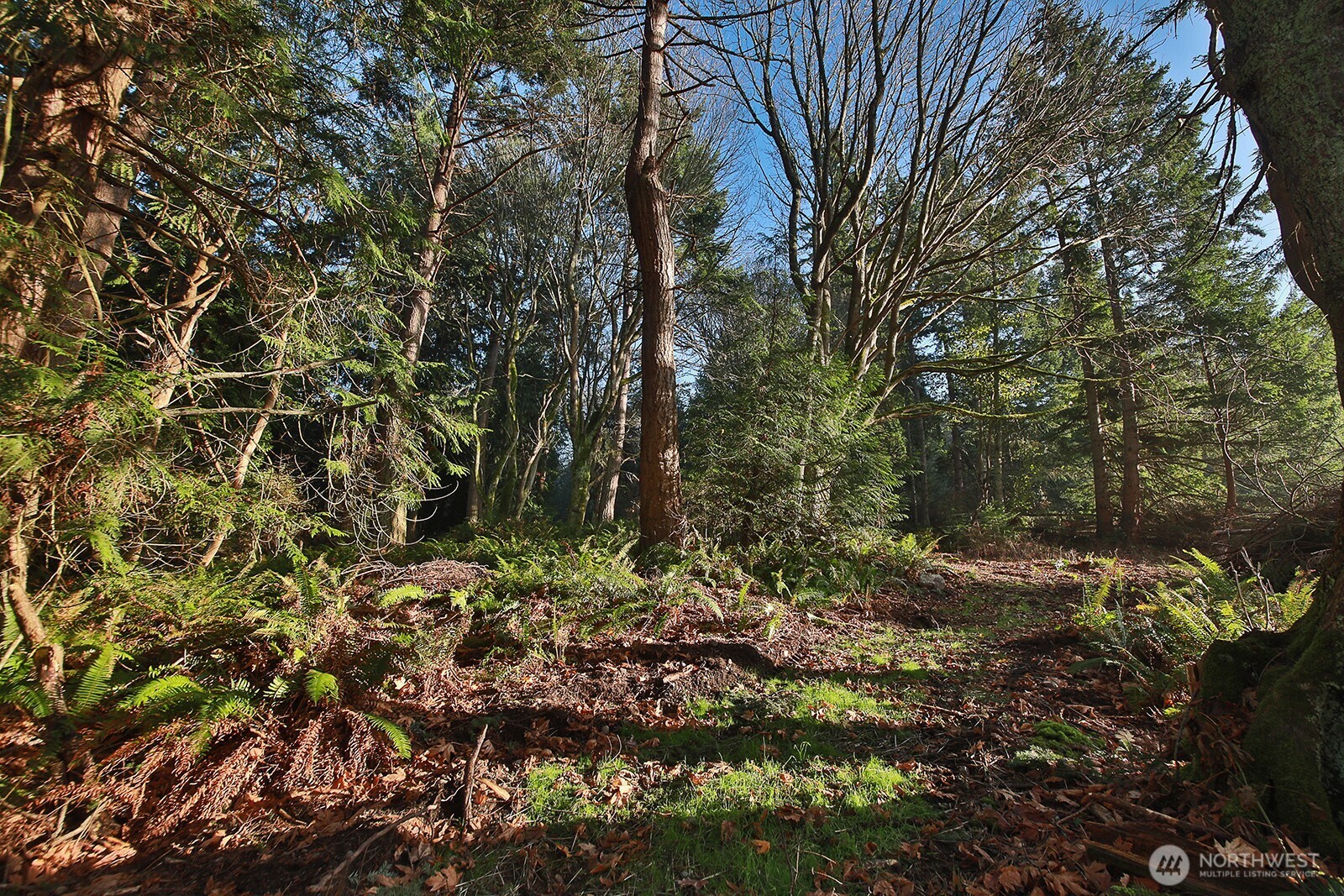 0 XXX Cultus Bay Road , Clinton, WA 98236