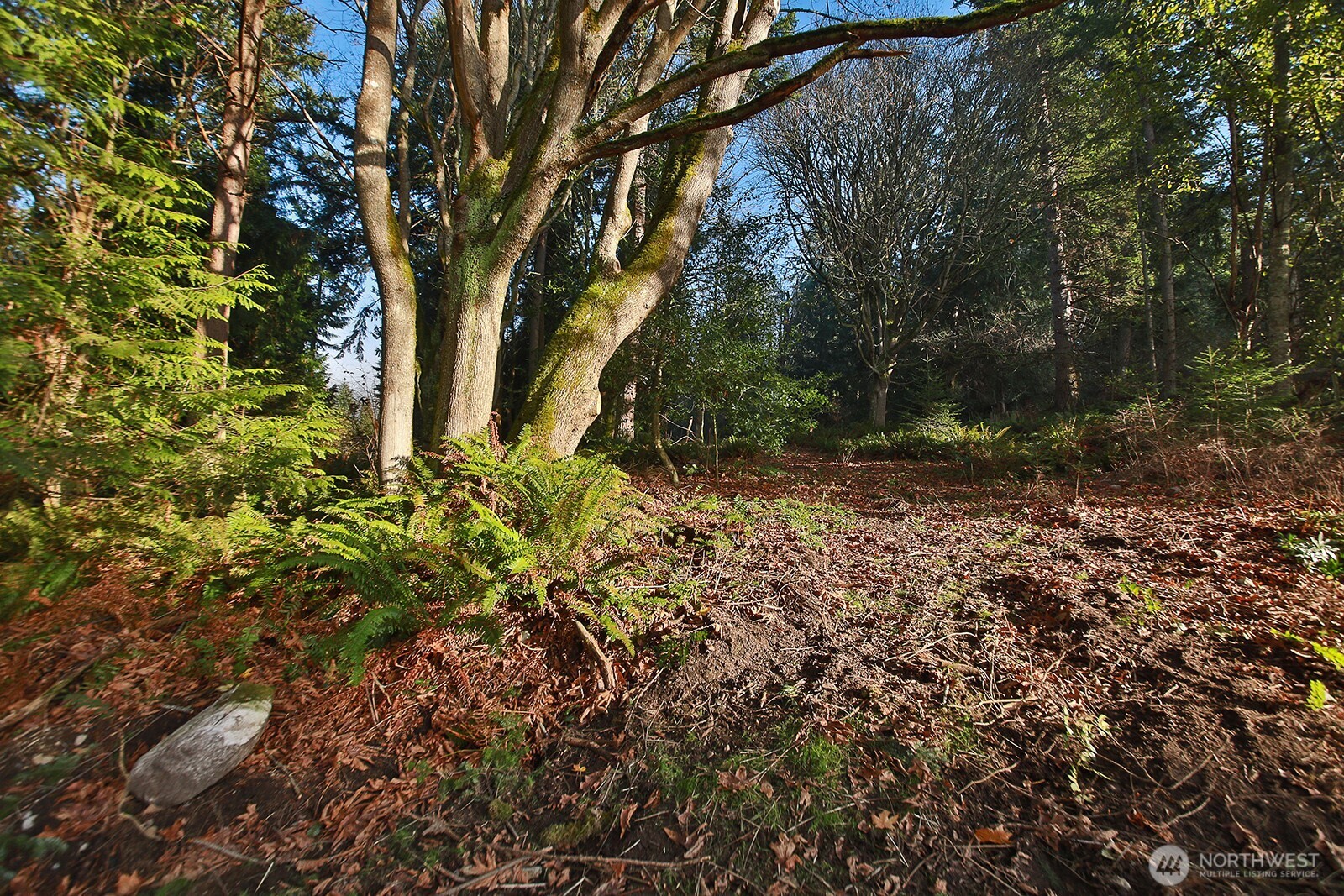 0 XXX Cultus Bay Road , Clinton, WA 98236