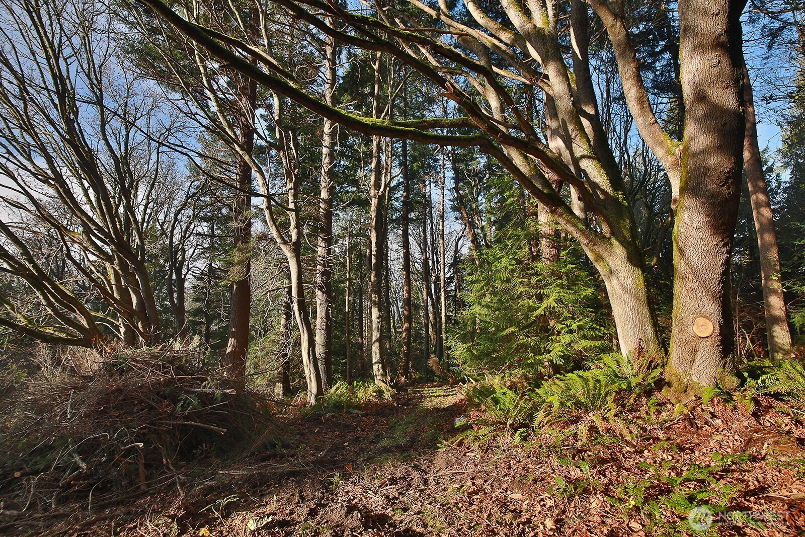 0 XXX Cultus Bay Road , Clinton, WA 98236