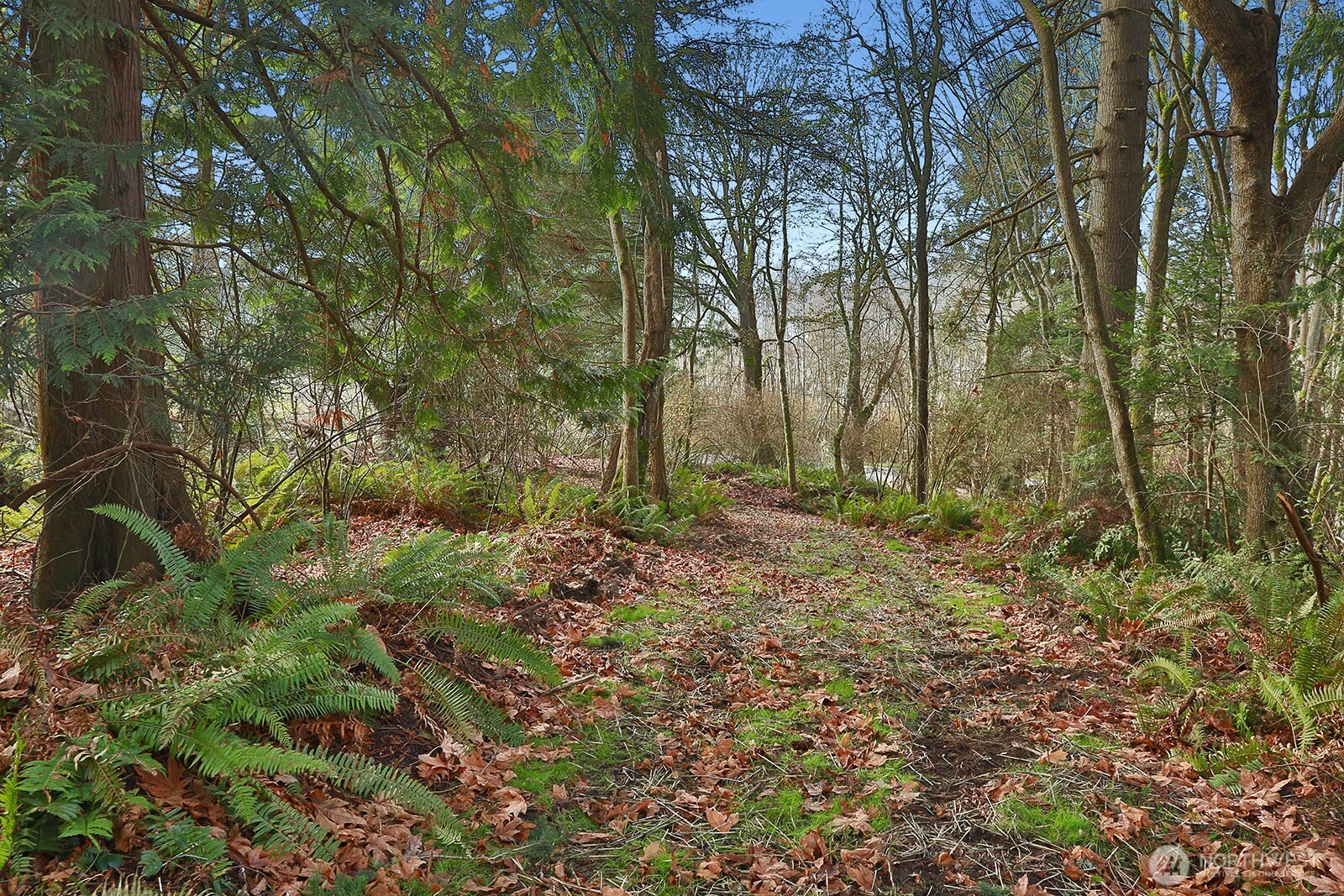 0 XXX Cultus Bay Road , Clinton, WA 98236