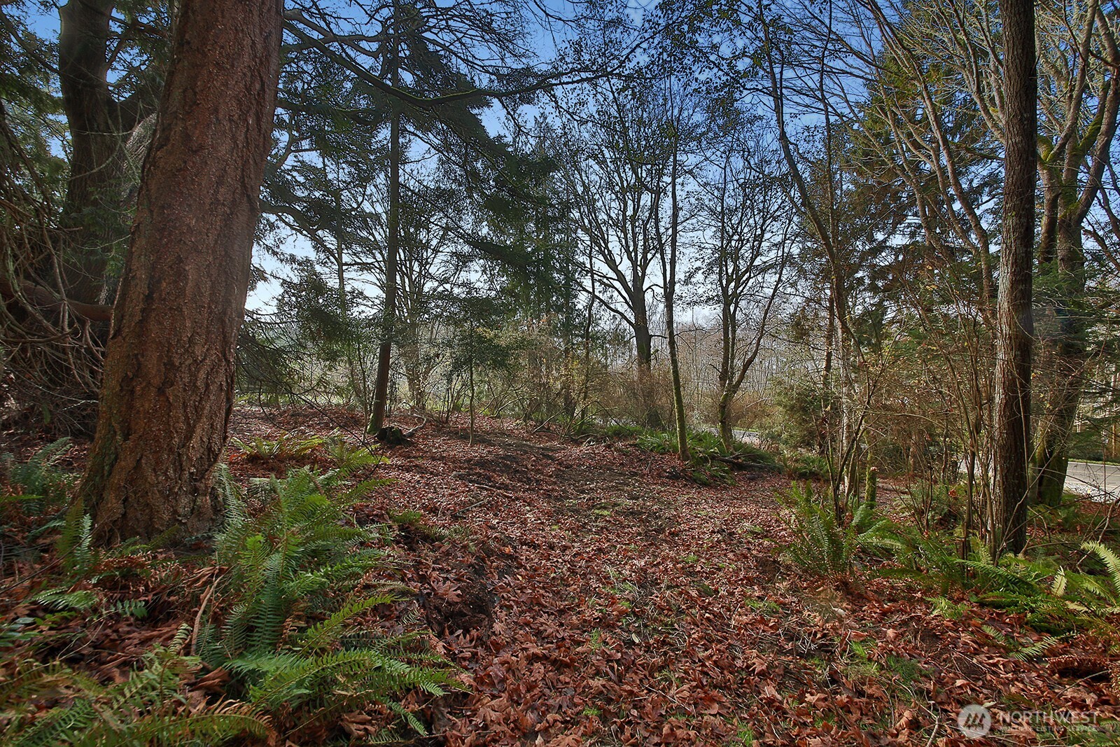 0 XXX Cultus Bay Road , Clinton, WA 98236