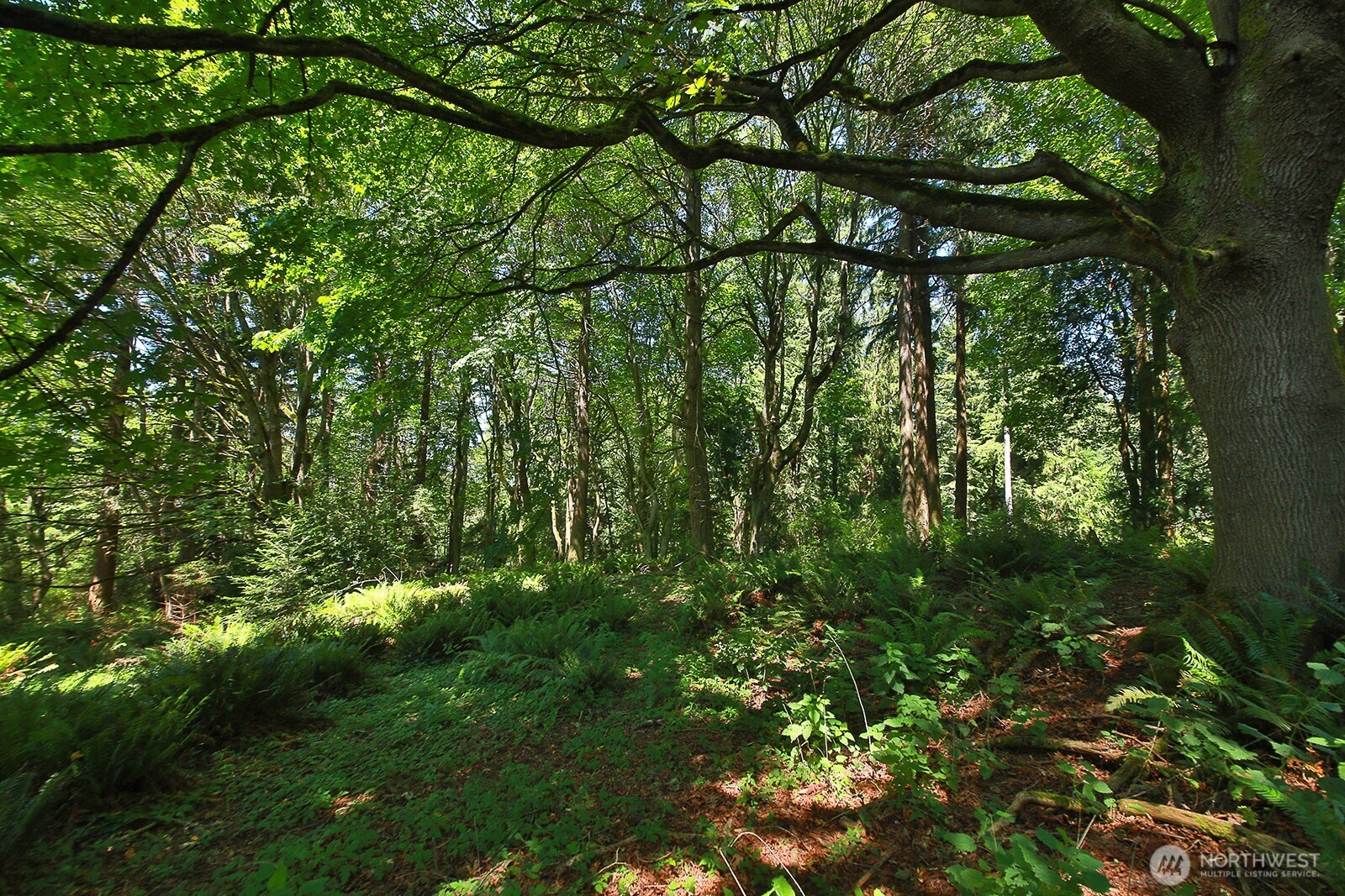 0 XXX Cultus Bay Road , Clinton, WA 98236