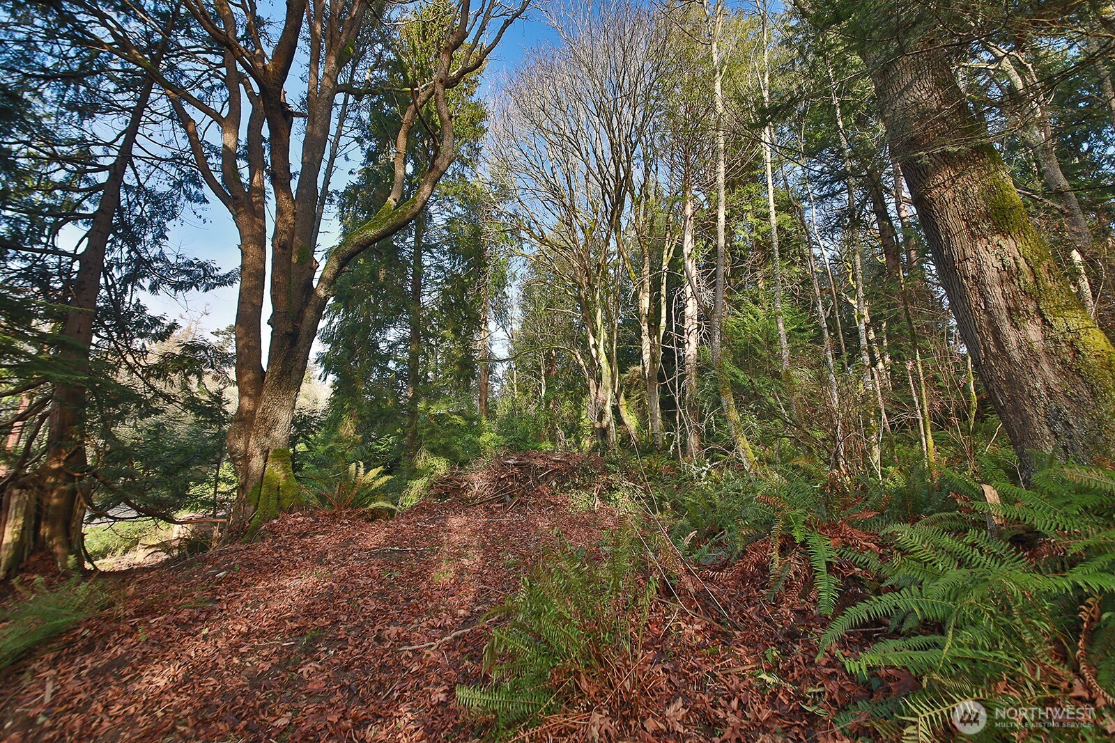 0 XXX Cultus Bay Road , Clinton, WA 98236