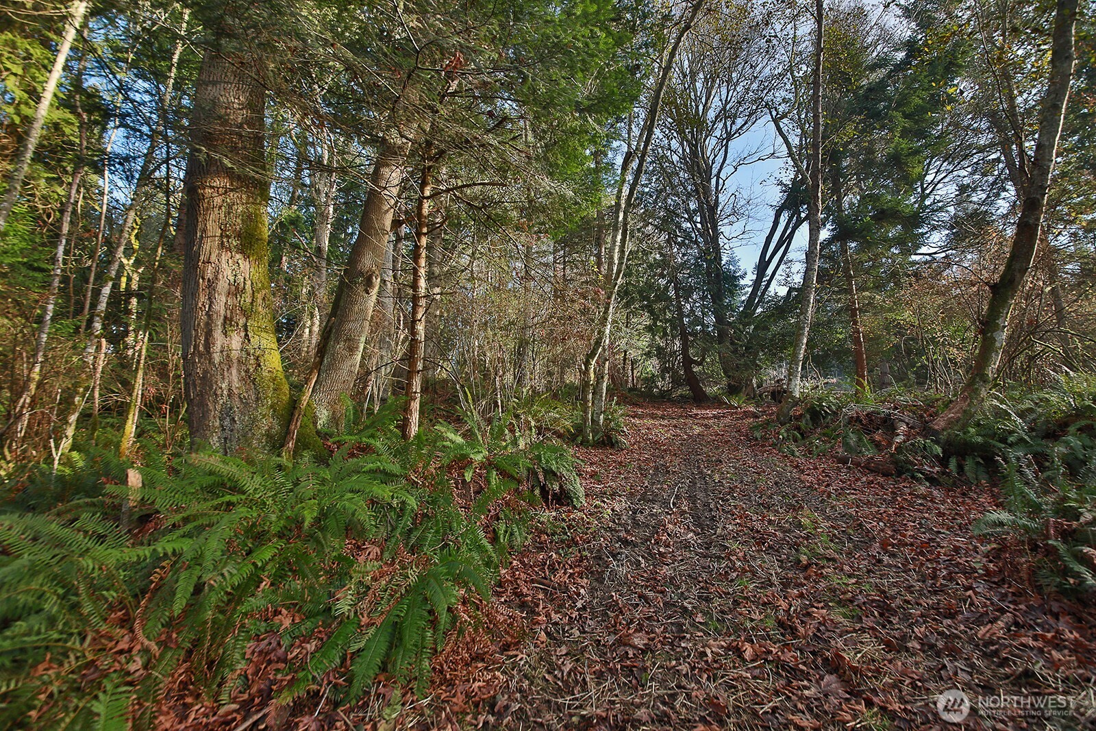 0 XXX Cultus Bay Road , Clinton, WA 98236