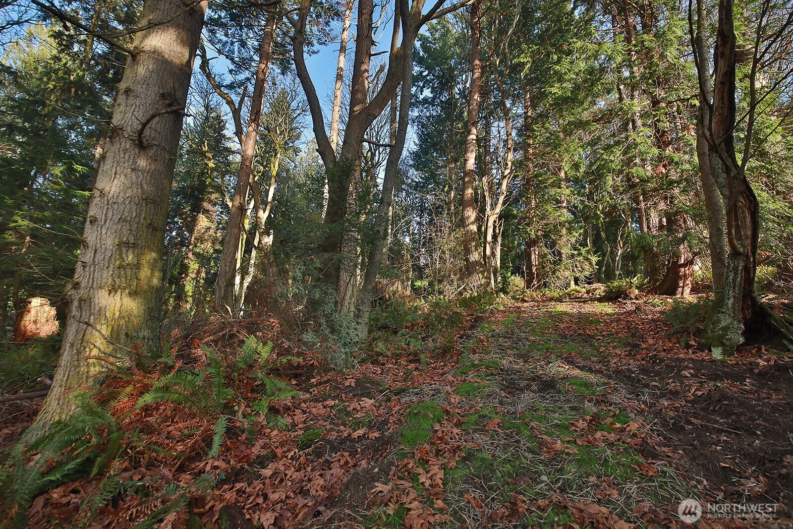 0 XXX Cultus Bay Road , Clinton, WA 98236