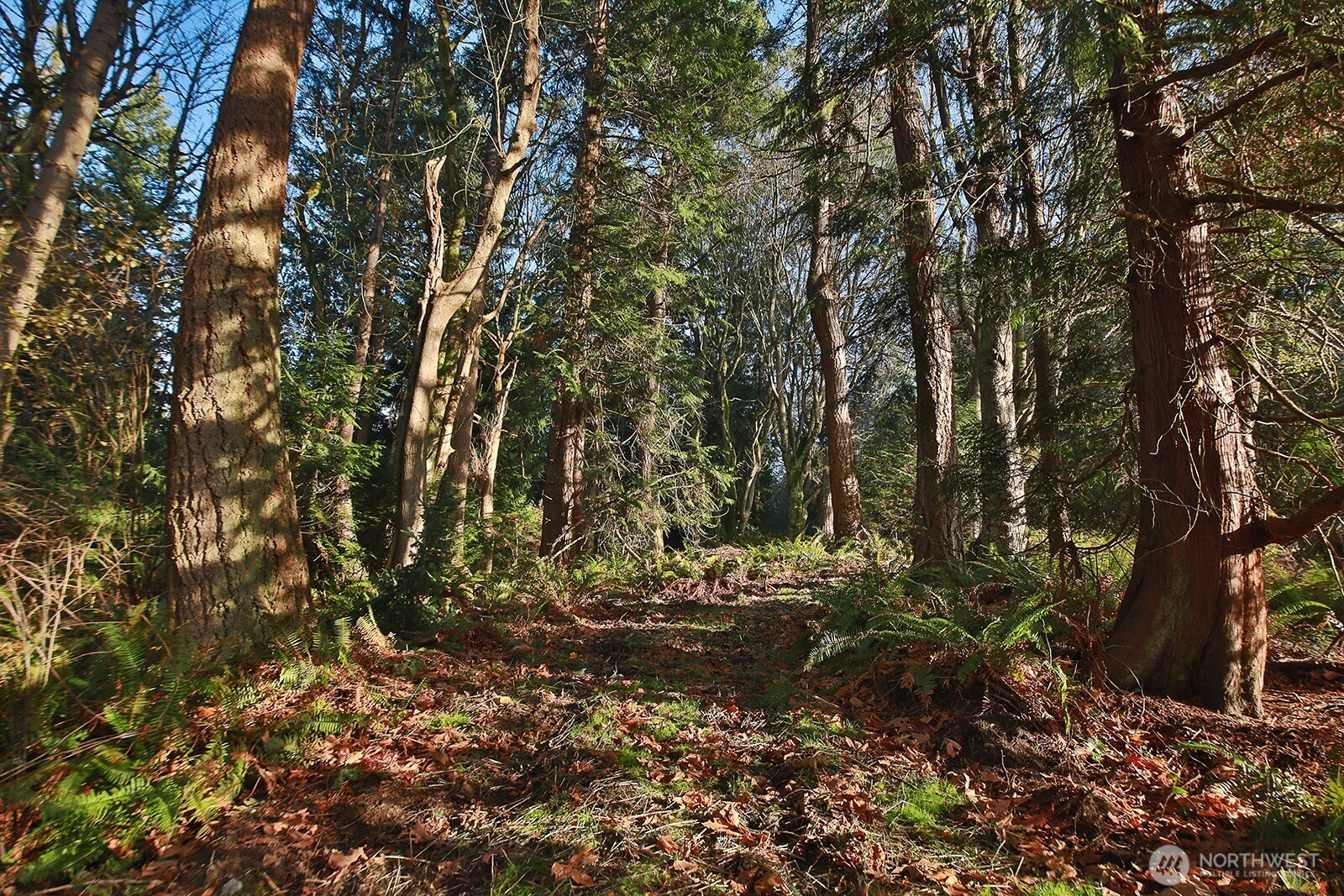 0 XXX Cultus Bay Road , Clinton, WA 98236