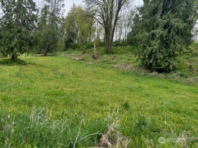 0 212th Street NW, Arlington, WA 98223 - Photo 3