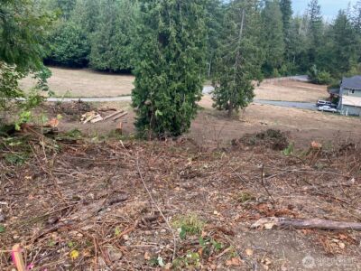 0 212th Street NW, Arlington, WA 98223 - Photo 8
