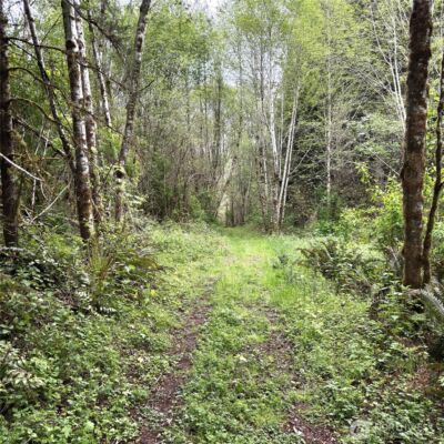 0 40 acres 143rd Avenue SE, Tenino, WA 98589 - Photo 11