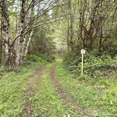 0 40 acres 143rd Avenue SE, Tenino, WA 98589 - Photo 12