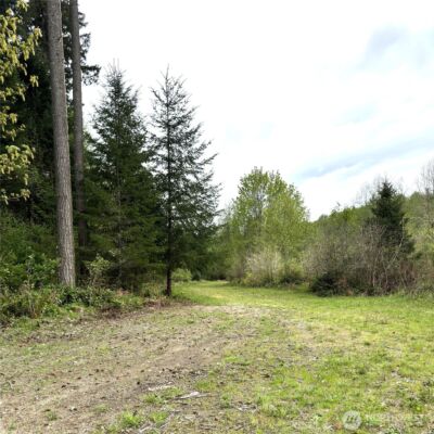 0 40 acres 143rd Avenue SE, Tenino, WA 98589 - Photo 13