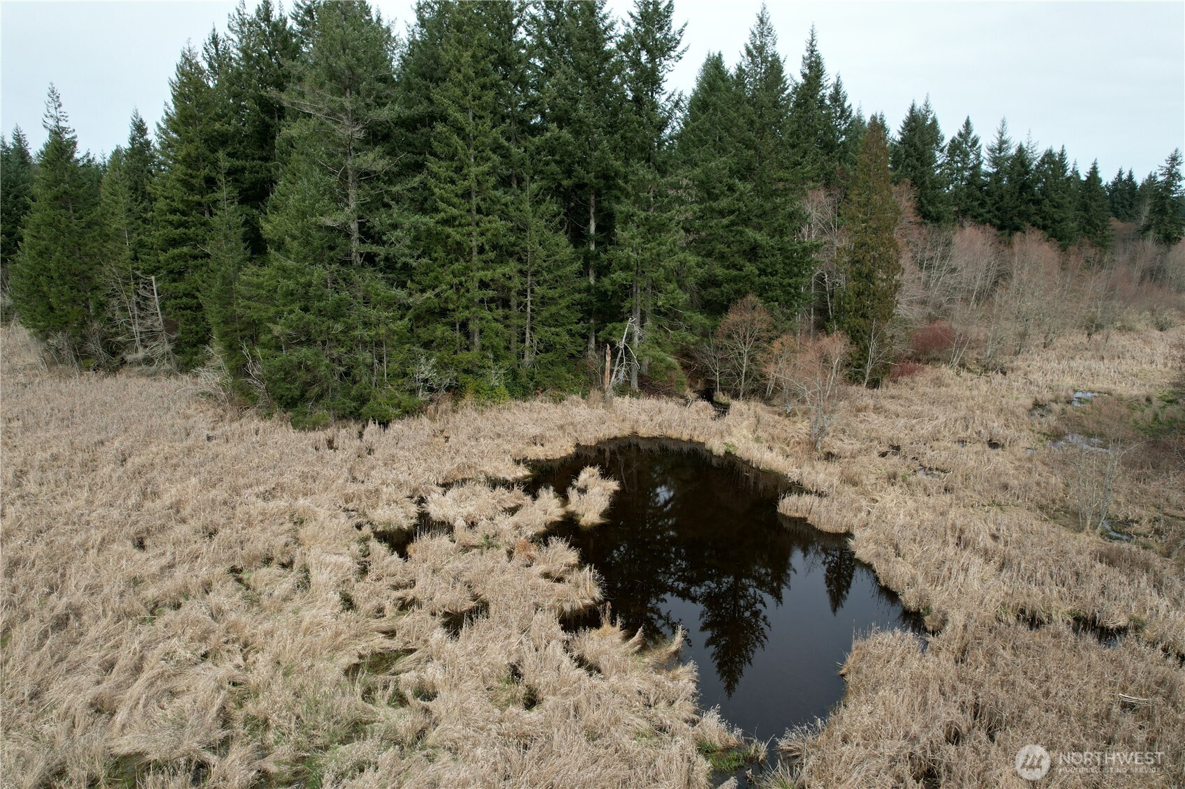 0 40 acres 143rd Avenue SE, Tenino, WA 98589