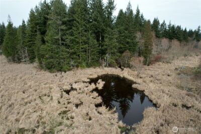 0 40 acres 143rd Avenue SE, Tenino, WA 98589 - Photo 14