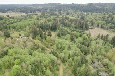 0 40 acres 143rd Avenue SE, Tenino, WA 98589 - Photo 3