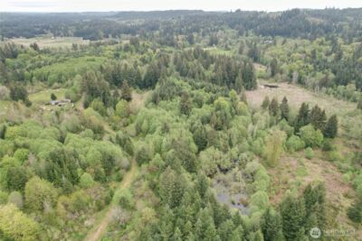 0 40 acres 143rd Avenue SE, Tenino, WA 98589 - Photo 4