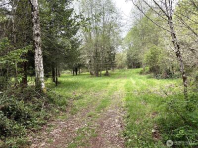 0 40 acres 143rd Avenue SE, Tenino, WA 98589 - Photo 5