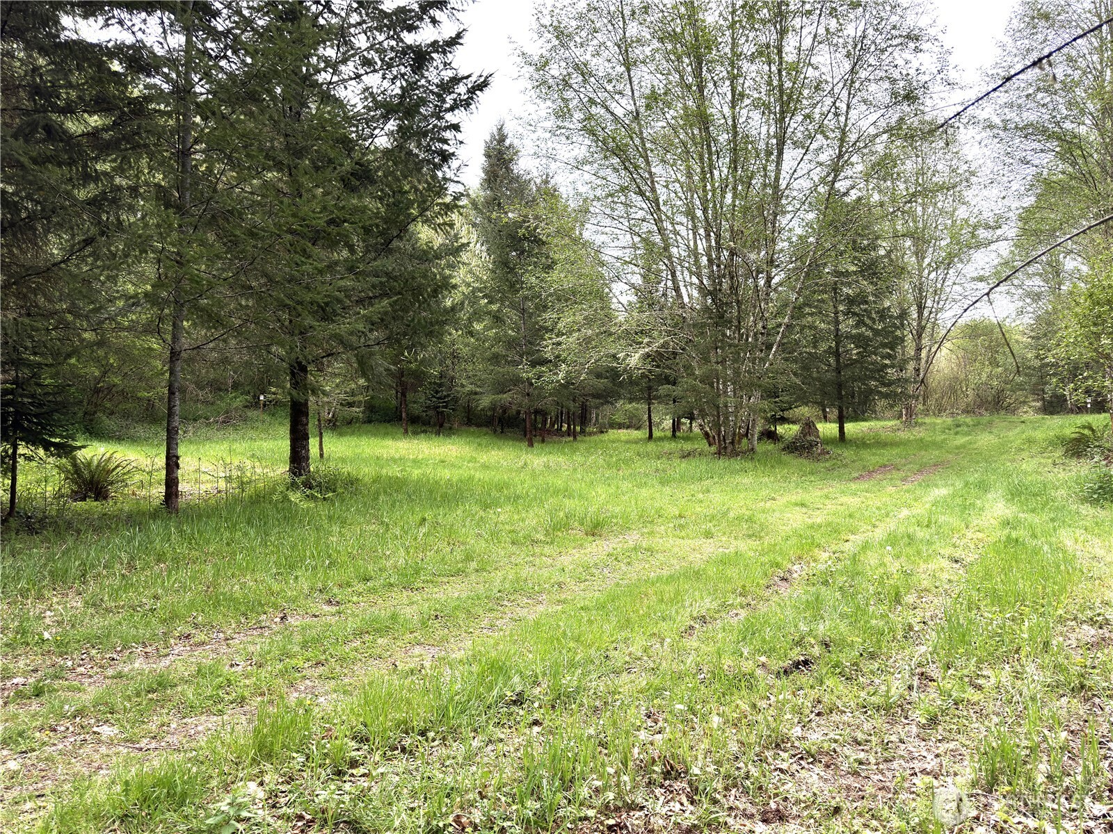 0 40 acres 143rd Avenue SE, Tenino, WA 98589