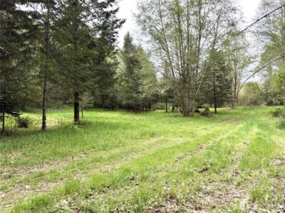 0 40 acres 143rd Avenue SE, Tenino, WA 98589 - Photo 6