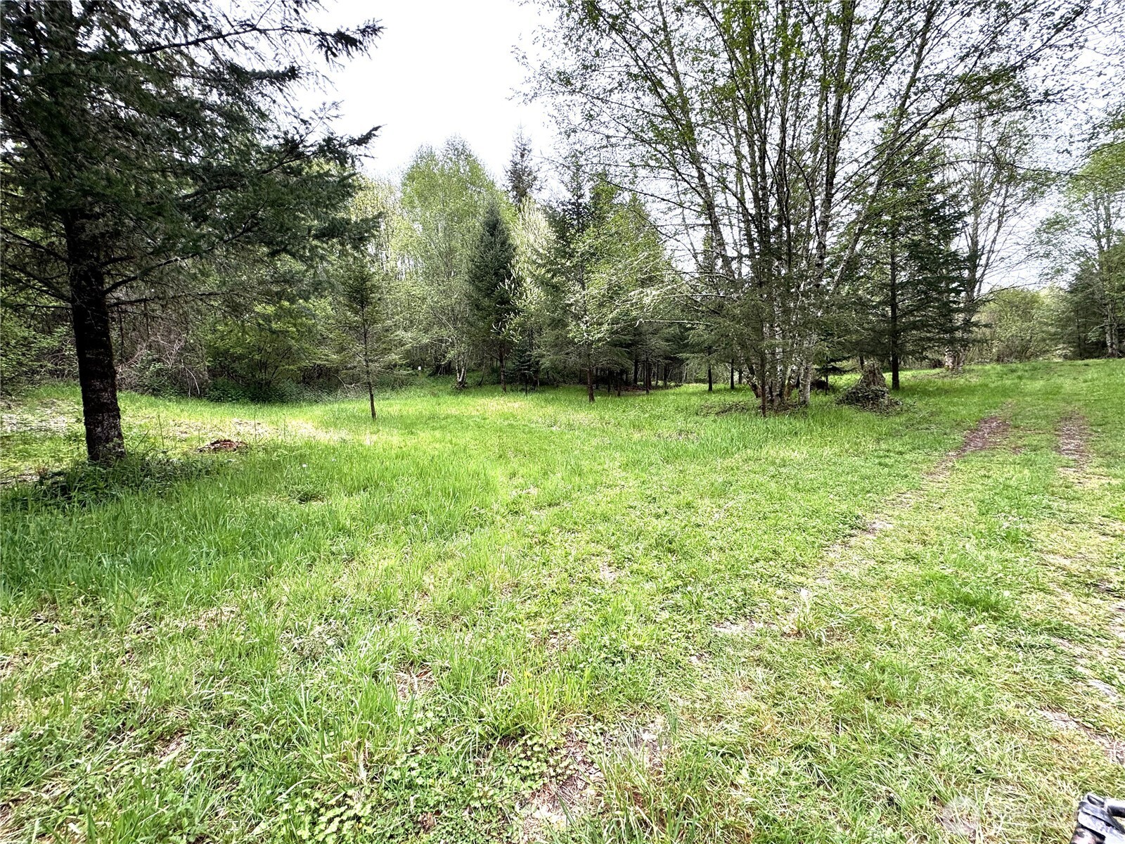 0 40 acres 143rd Avenue SE, Tenino, WA 98589