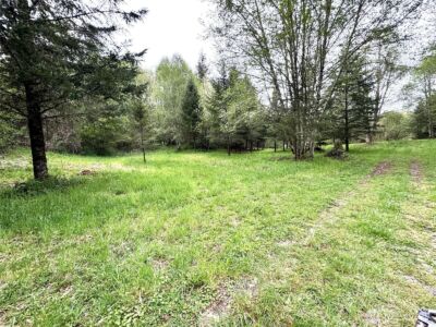 0 40 acres 143rd Avenue SE, Tenino, WA 98589 - Photo 7
