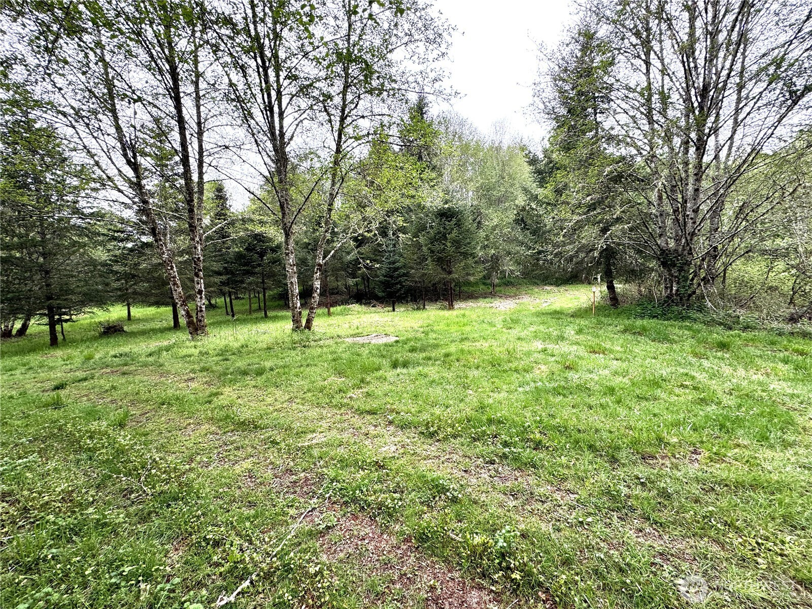 0 40 acres 143rd Avenue SE, Tenino, WA 98589