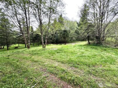 0 40 acres 143rd Avenue SE, Tenino, WA 98589 - Photo 8
