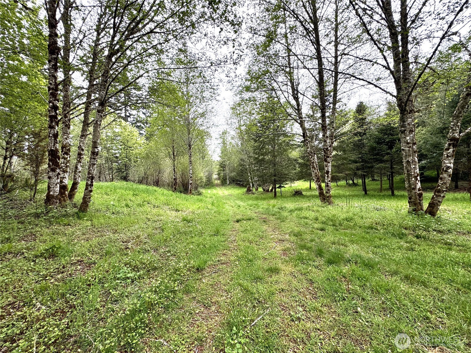 0 40 acres 143rd Avenue SE, Tenino, WA 98589