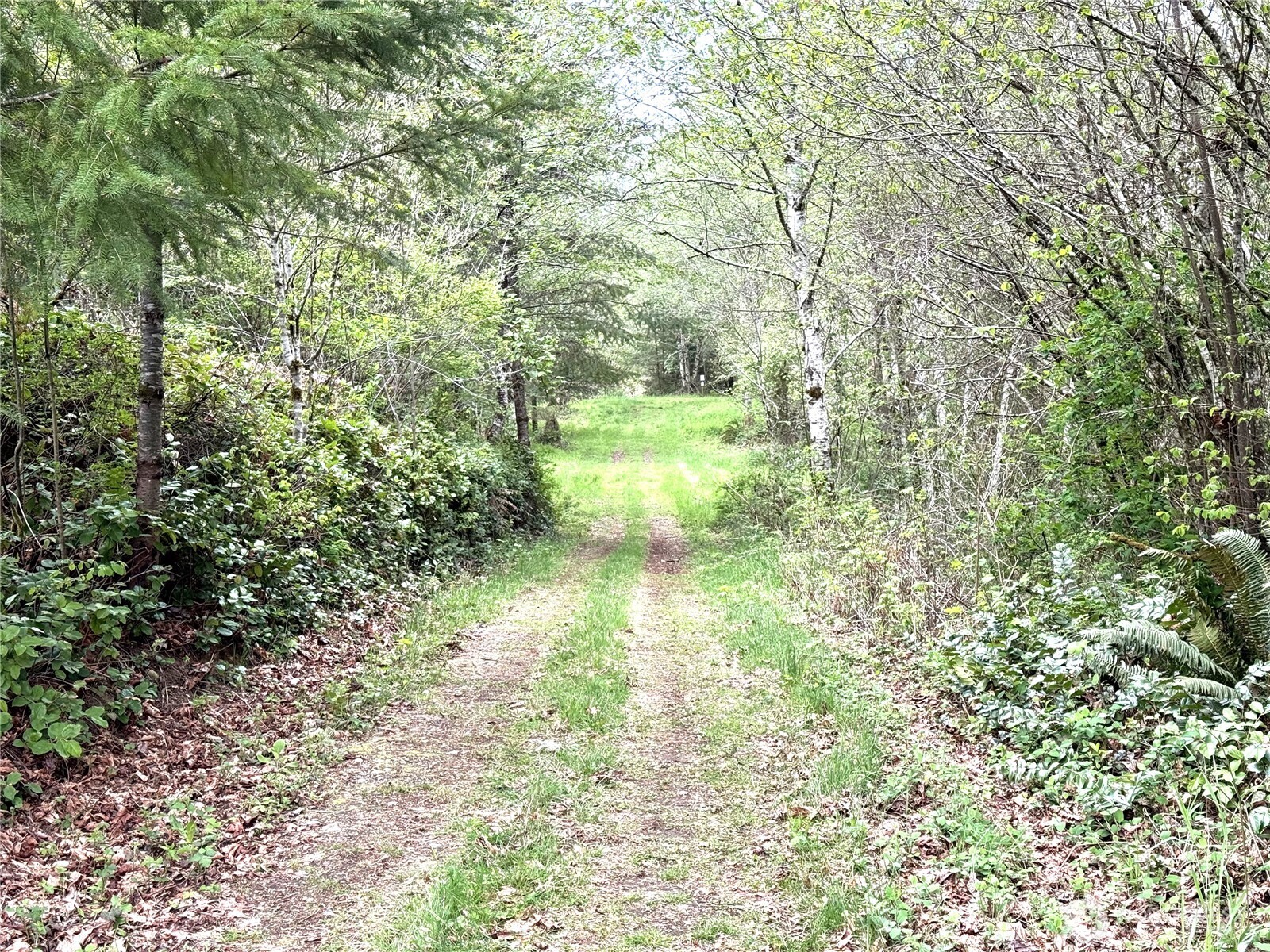 0 40 acres 143rd Avenue SE, Tenino, WA 98589